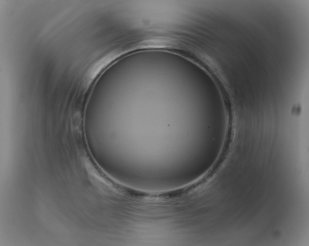 X0000110971465200906191324