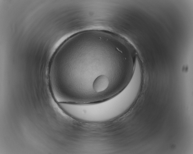 X0000110971468200906191324
