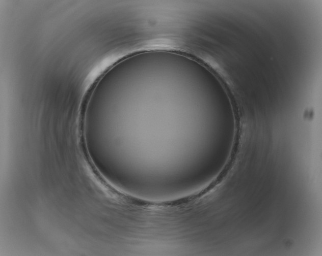 X0000110971469200906191324