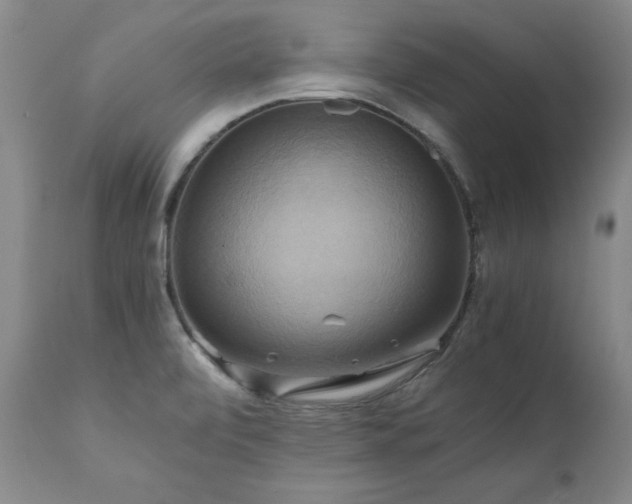 X0000110971472200906191324