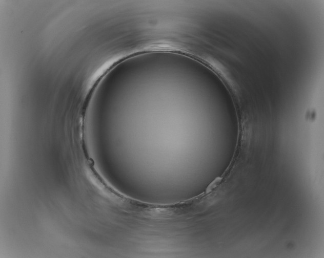 X0000110971476200906191324