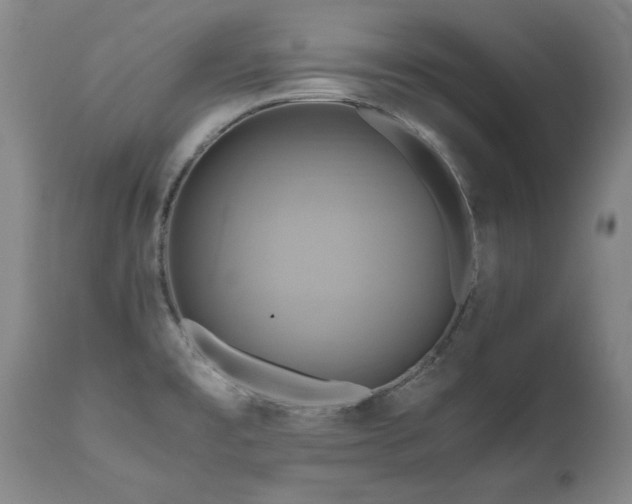 X0000110971477200906191324