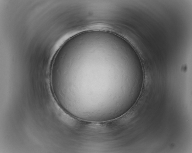 X0000110971478200906191324