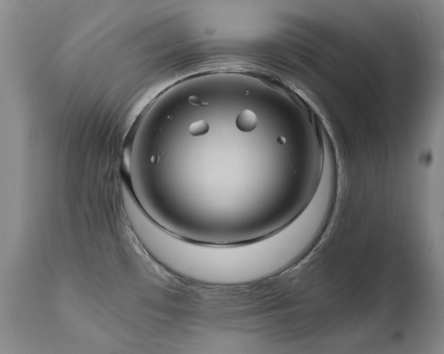 X0000110971481200906191324