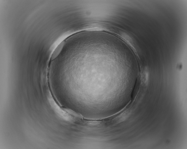 X0000110971484200906191324