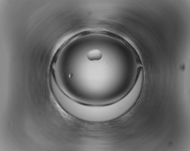 X0000110971485200906191324