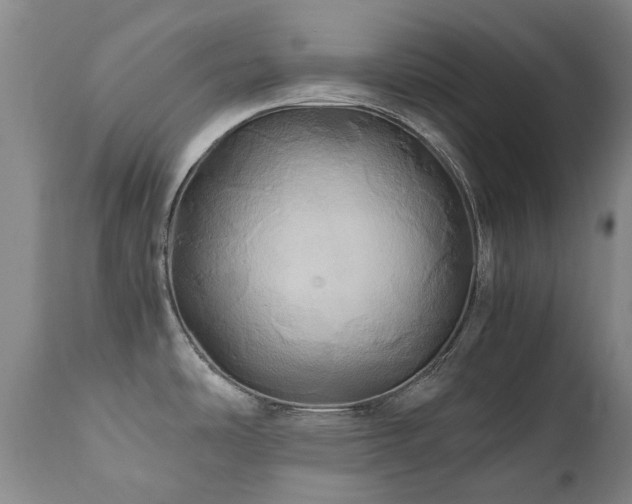 X0000110971486200906191324