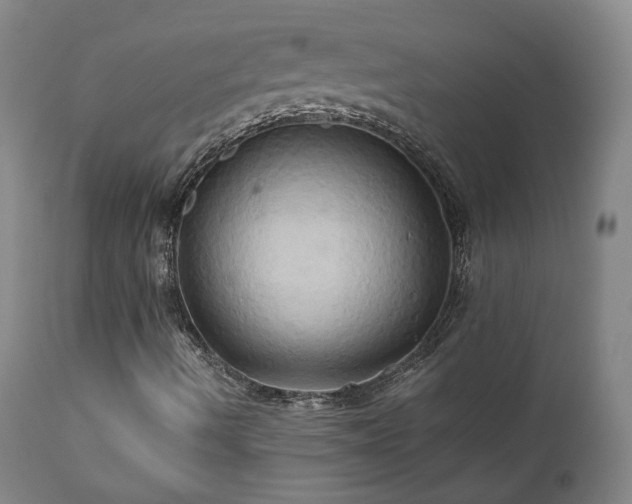 X0000110971490200906191323