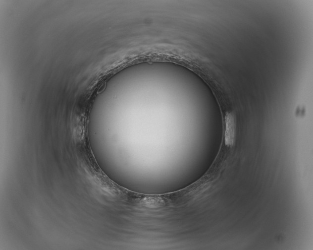 X0000110971491200906191323