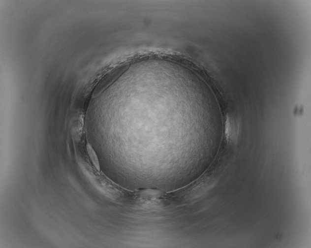 X0000110971492200906191323