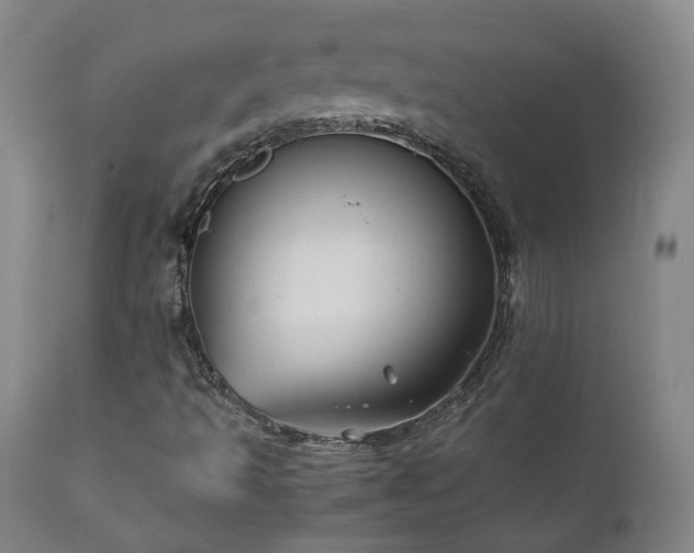 X0000110971493200906191323