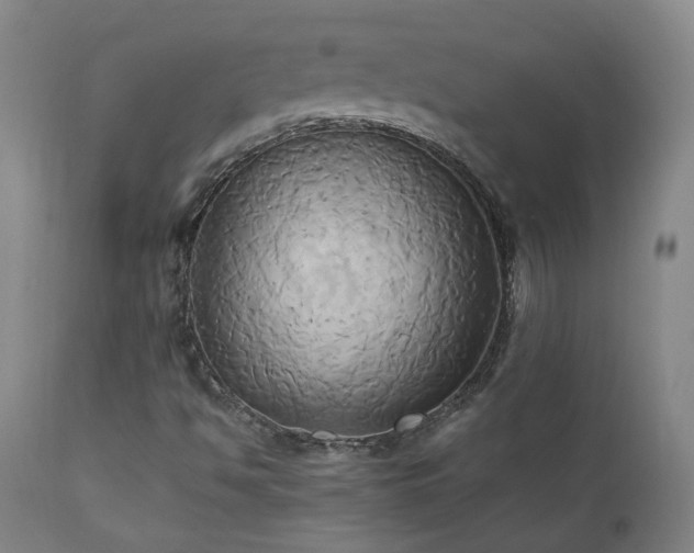 X0000110971494200906191323