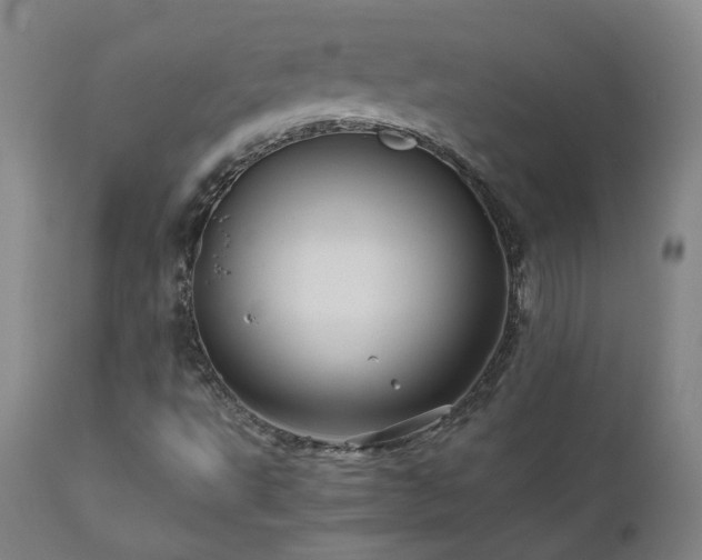 X0000110971495200906191323