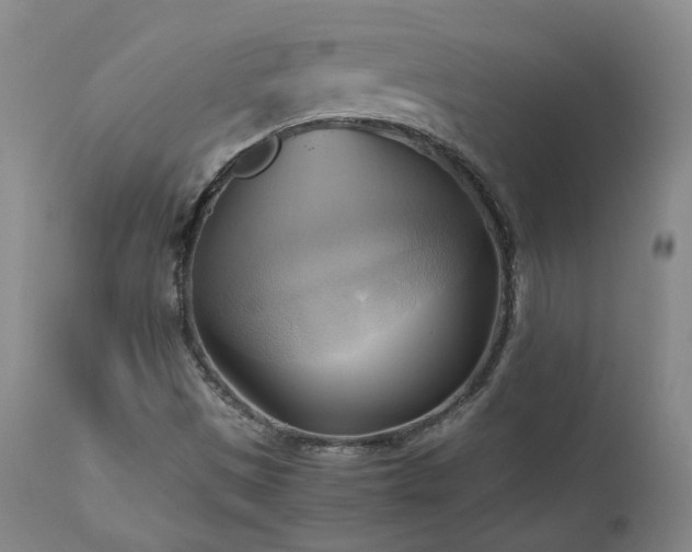 X0000110971497200906191323