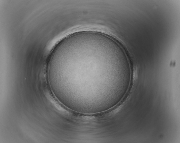 X0000110971498200906191323