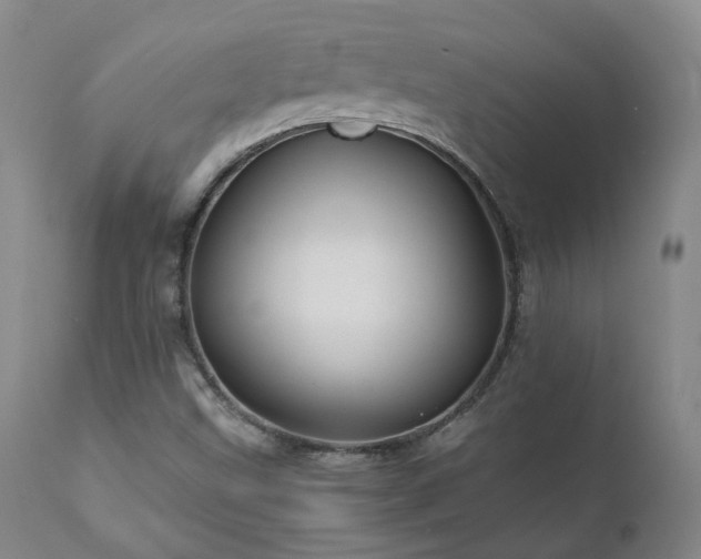 X0000110971499200906191323