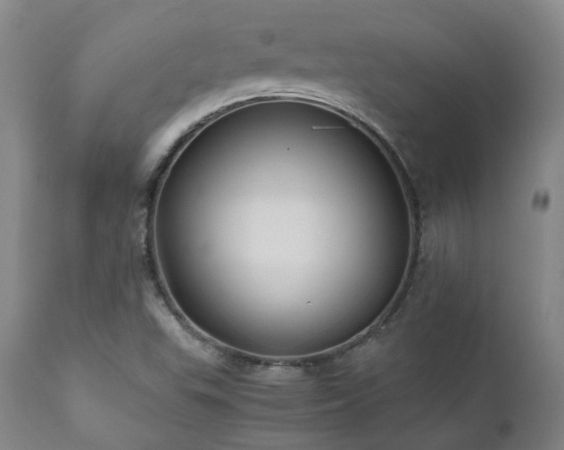 X0000110971503200906191323