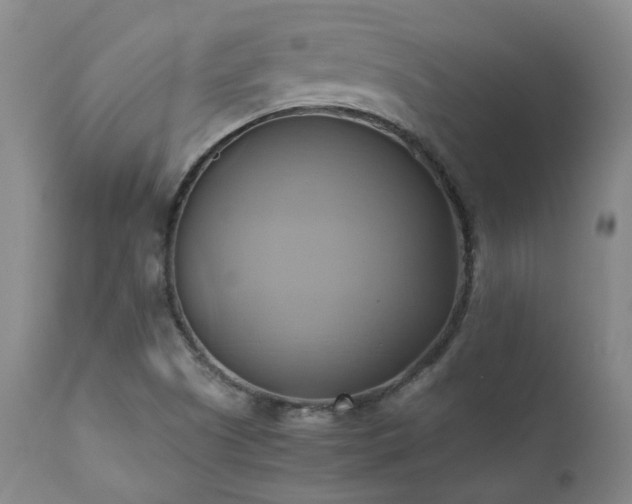X0000110971505200906191323