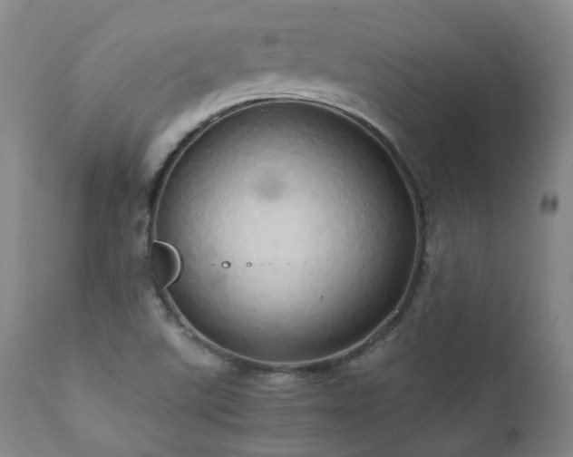 X0000110971507200906191323