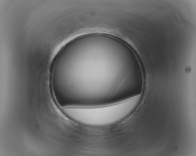 X0000110971508200906191323