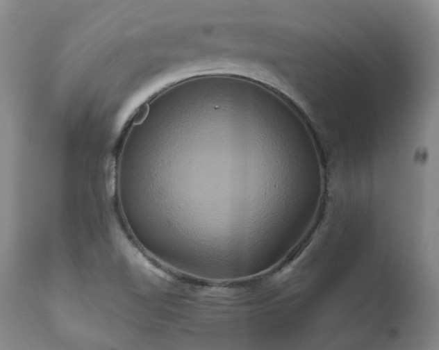 X0000110971510200906191323