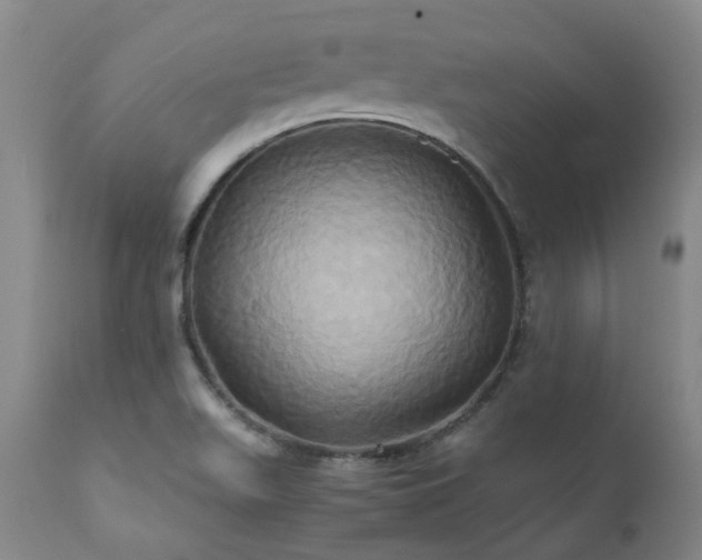 X0000110971511200906191323