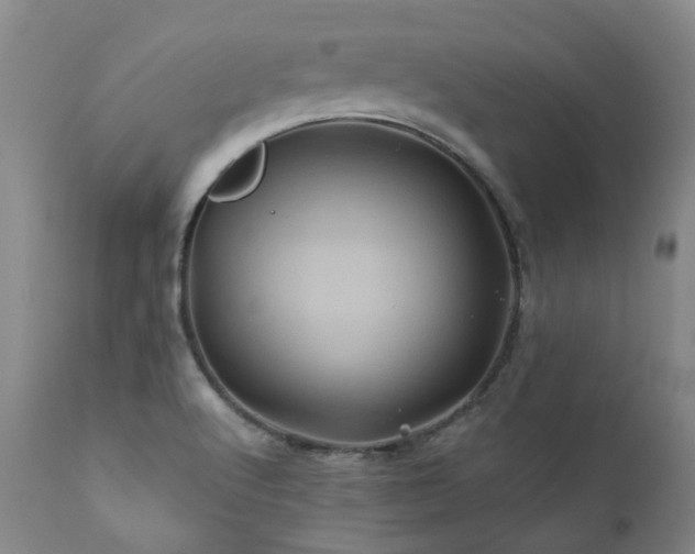 X0000110971512200906191323