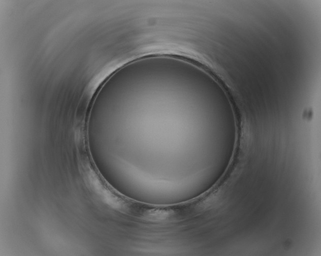X0000110971513200906191323