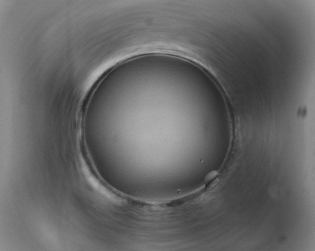 X0000110971515200906191323