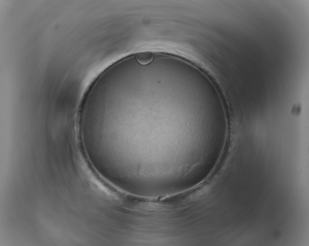 X0000110971517200906191324