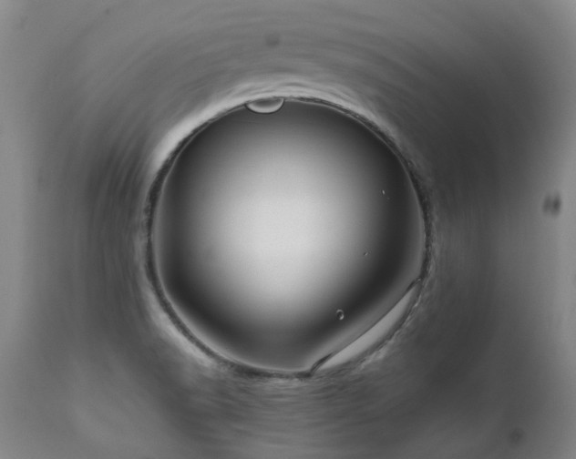 X0000110971518200906191324