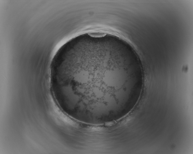 X0000110971522200906191324