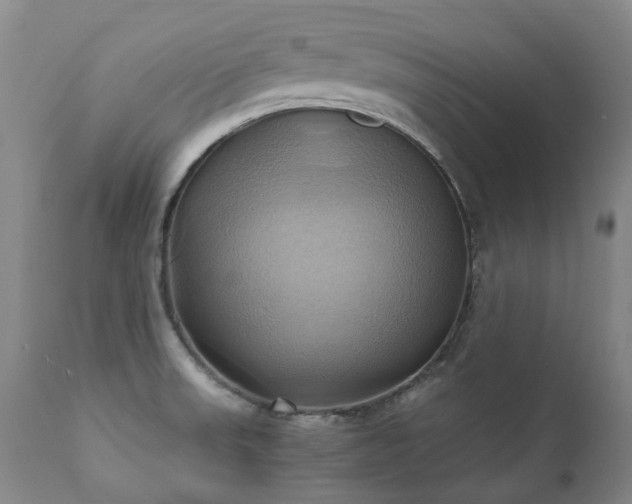 X0000110971523200906191324