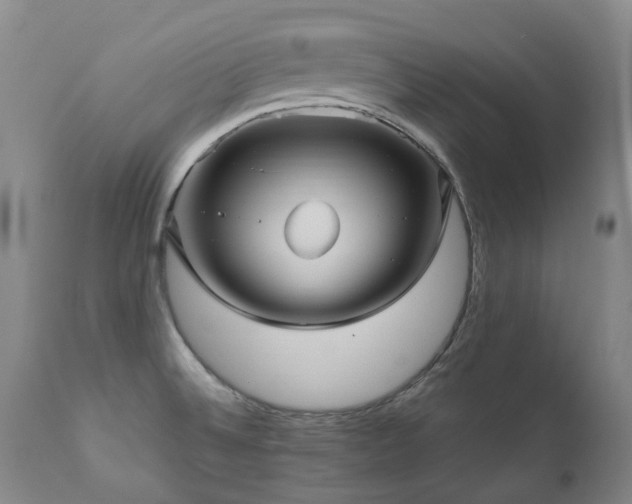 X0000110971524200906191324