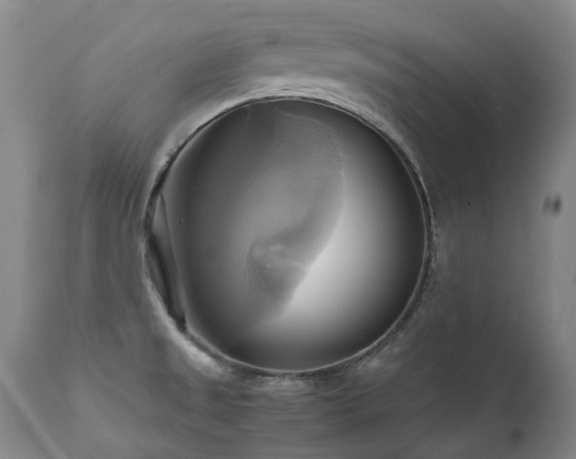 X0000110971525200906191324