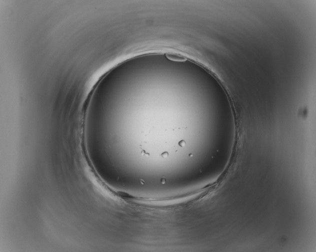 X0000110971526200906191324