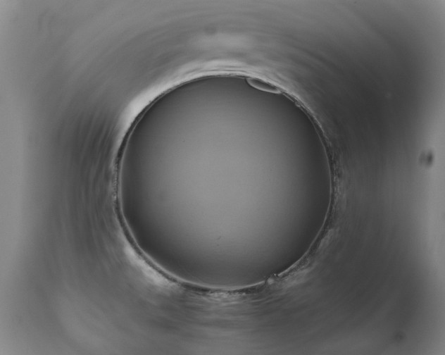 X0000110971527200906191324
