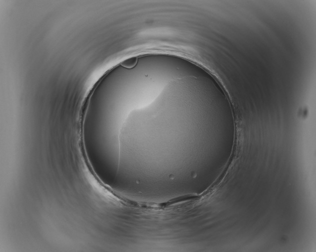 X0000110971531200906191324