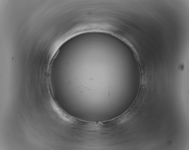 X0000110971532200906191324