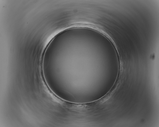 X0000110971533200906191324