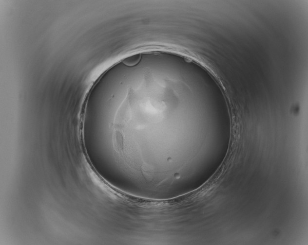 X0000110971535200906191324