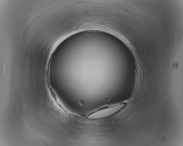 X0000110971536200906191324