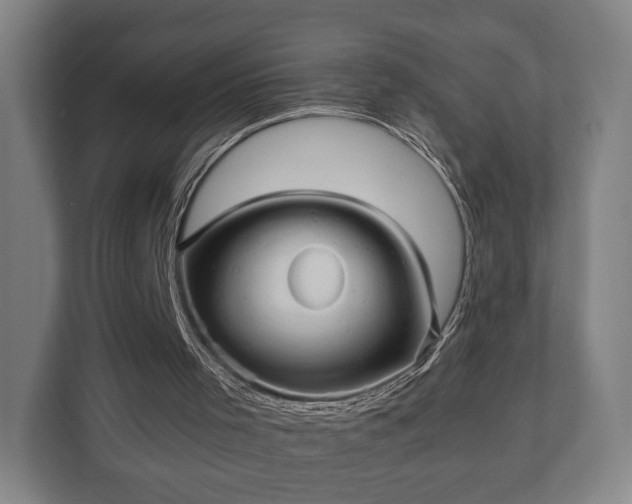 X0000110970001200906261418