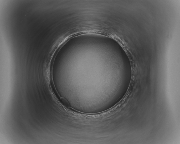 X0000110970002200906261418