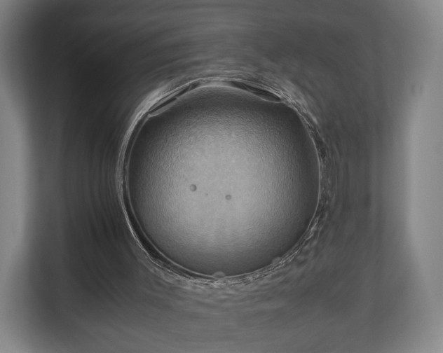 X0000110970003200906261418