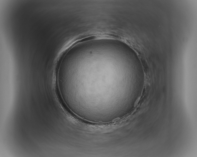 X0000110970005200906261418