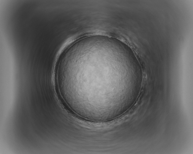 X0000110970006200906261418