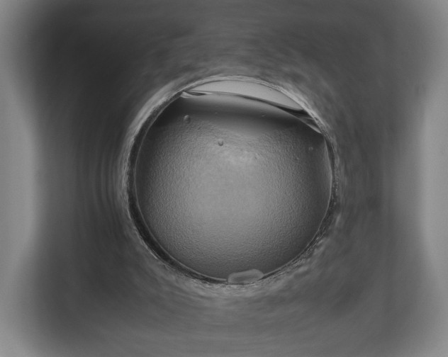 X0000110970007200906261418