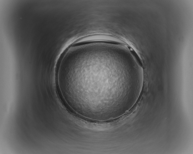 X0000110970008200906261418