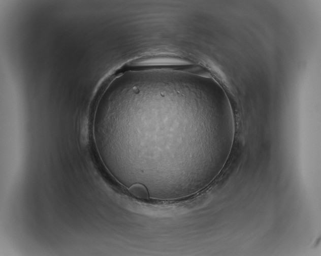 X0000110970012200906261418